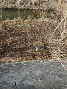 #12 幸運を拾うごみ拾い日記