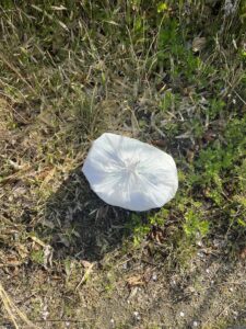 #40 幸運を拾うごみ拾い日記