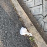 二重に包まれた白い袋…開けて後悔した“中身”とは？#111