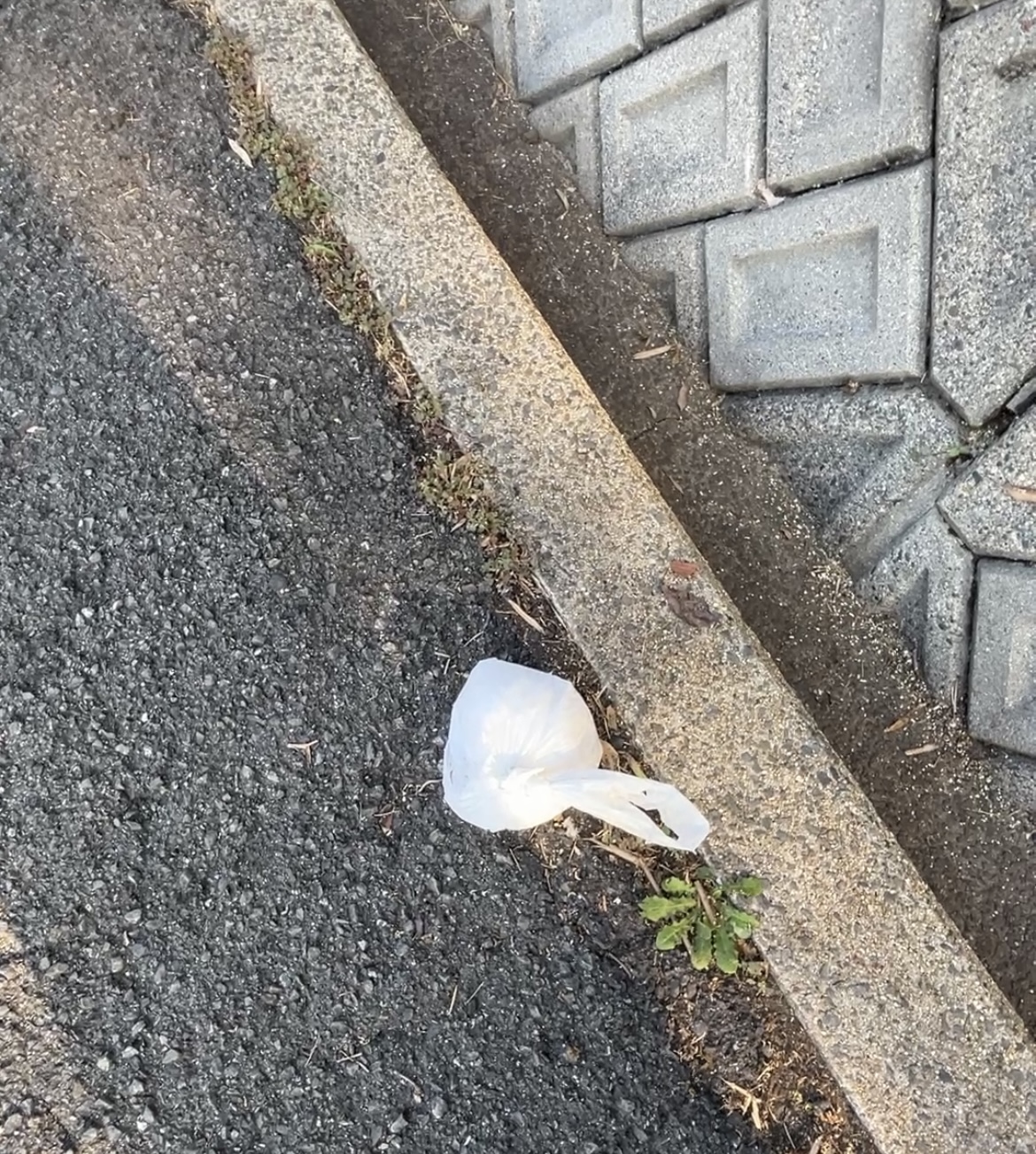 二重に包まれた白い袋…開けて後悔した“中身”とは？#111