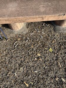 歩道で“宝の山”を発見？ 大量の吸い殻を拾って気づいたこと#117