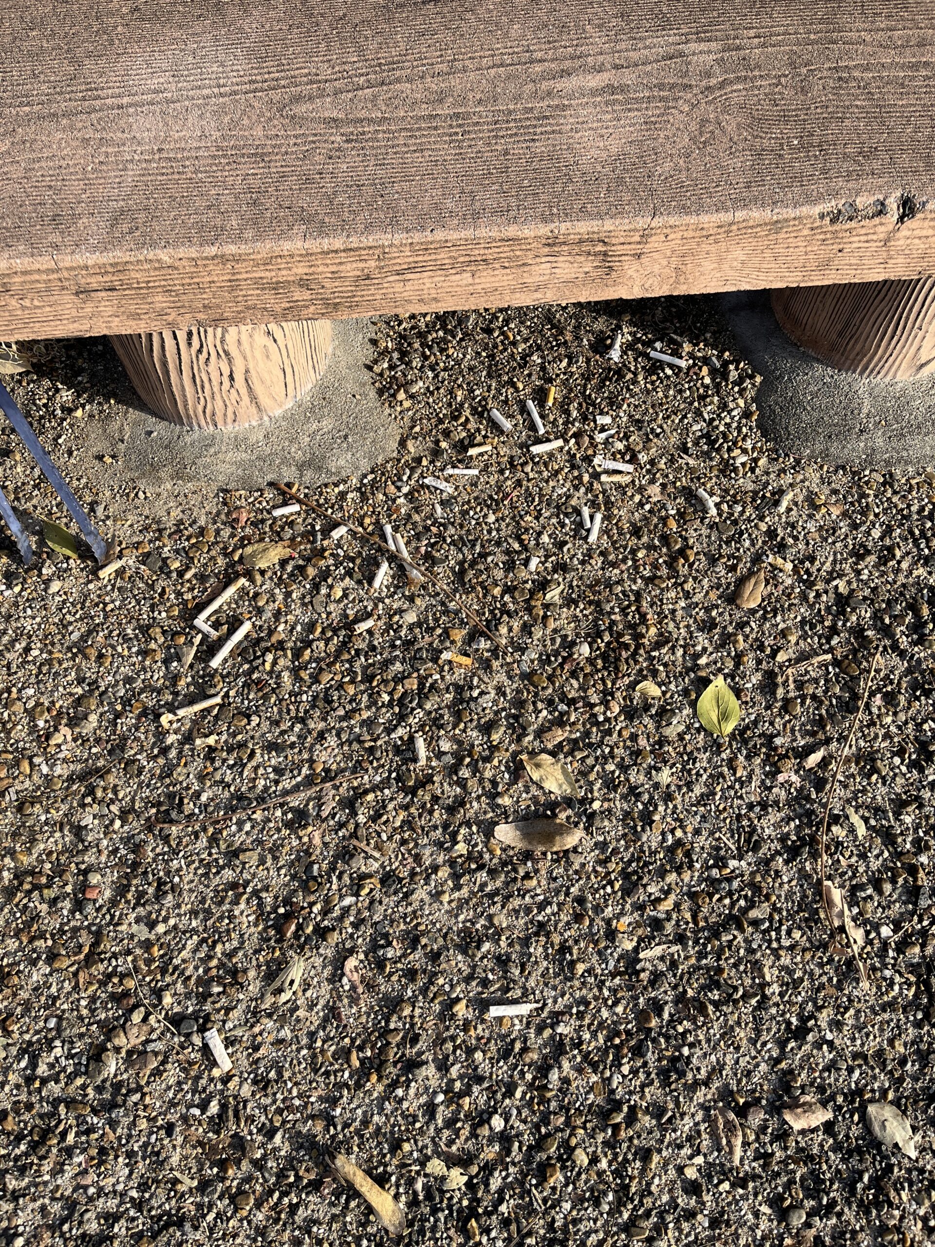 歩道で“宝の山”を発見？ 大量の吸い殻を拾って気づいたこと#117