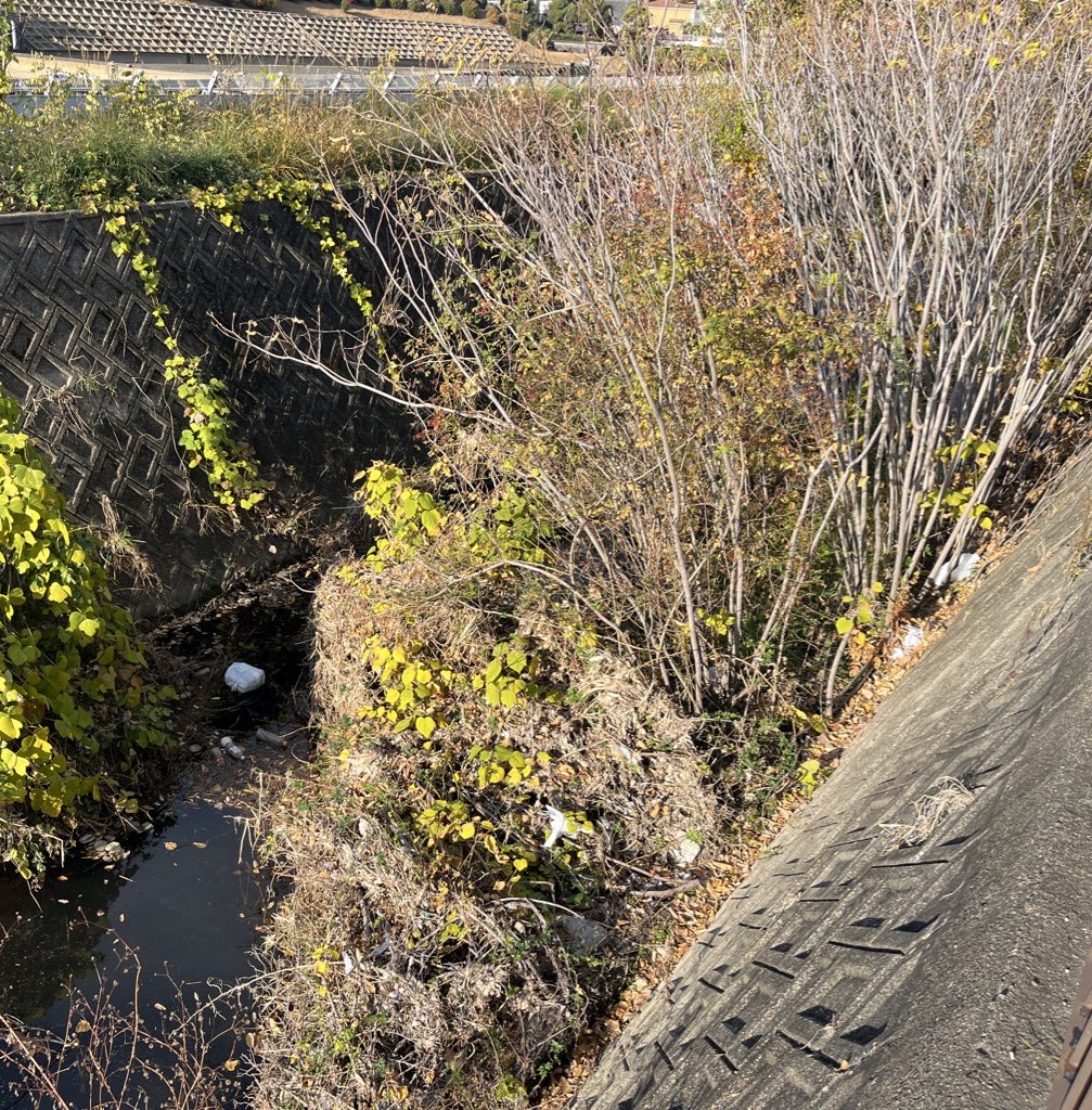 ゴミ拾いの途中で、次の行動が決まった日#119