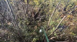 執念のゴミ袋レスキュー！釣り上げてわかった犯人の正体 #122