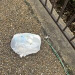 気になっていたものを片づけた朝 #123