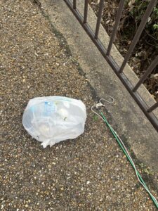 気になっていたものを片づけた朝 #123