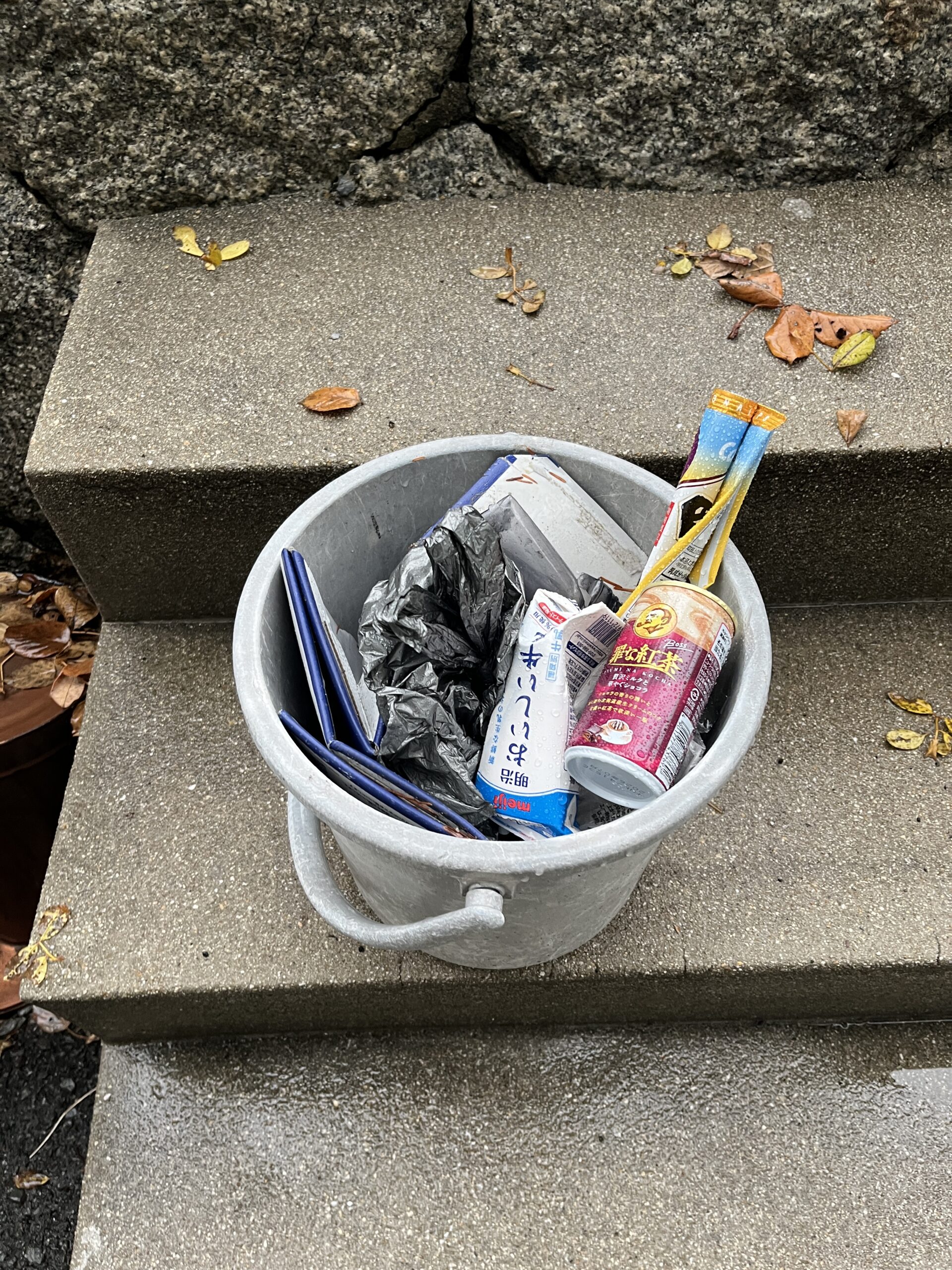 雨の拾い納め。川辺に残された「宿題」は来年必ず釣り上げる #126