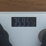【12月の振り返り】年末年始の誘惑に揺れつつも、76kgの壁は死守！【筋トレ29ヶ月】
