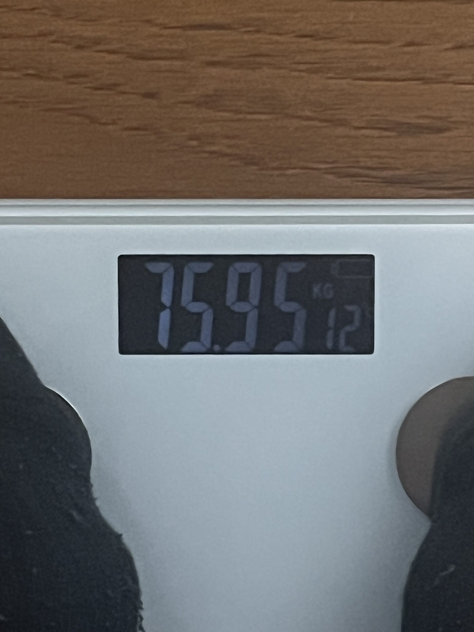 【12月の振り返り】年末年始の誘惑に揺れつつも、76kgの壁は死守！【筋トレ29ヶ月】