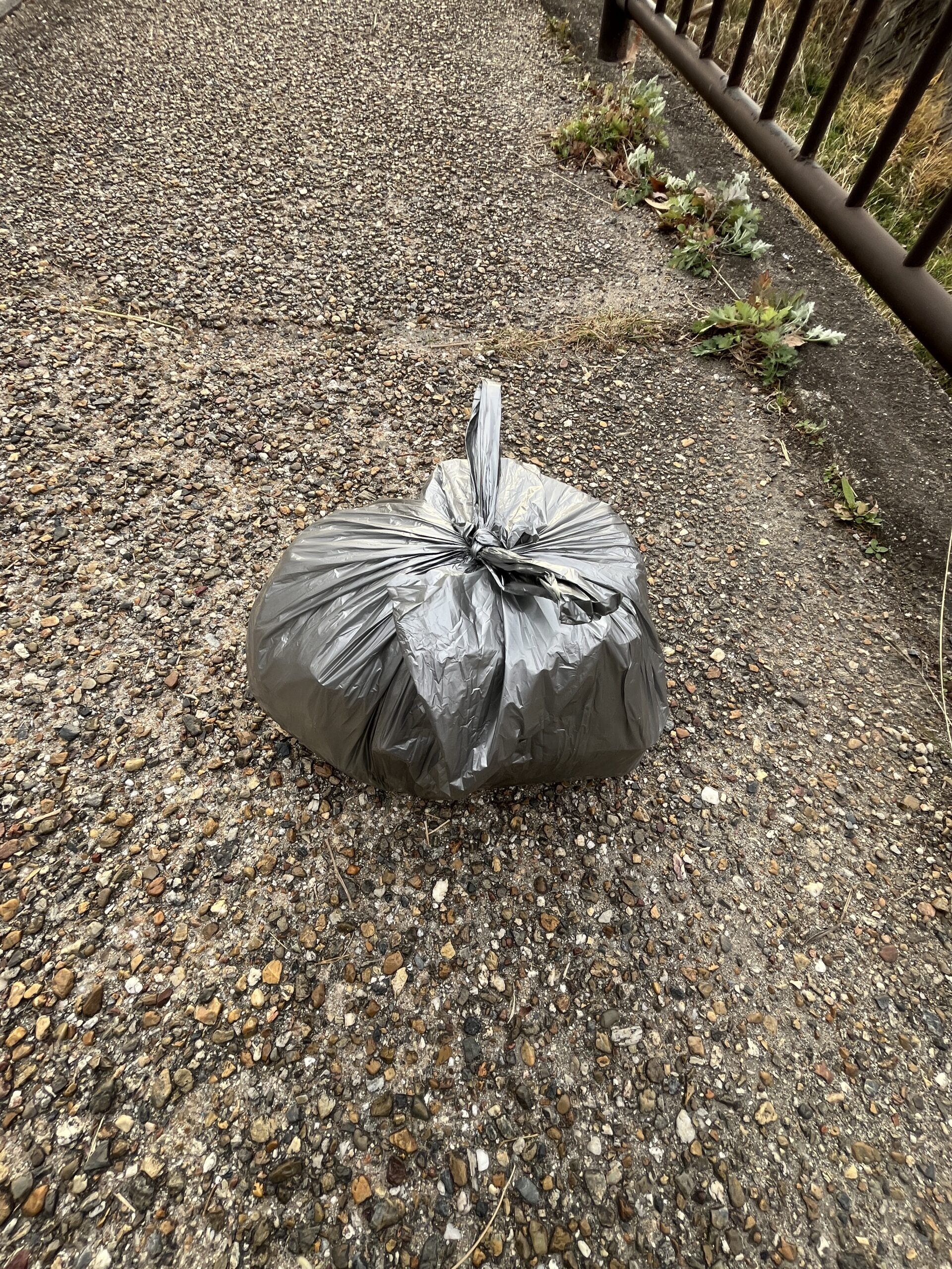 川辺のゴミ袋釣り上げ｜2026年初の運拾い #130