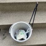 寒波の歩道で気づいた変化｜運拾いで見えた静かな街#132