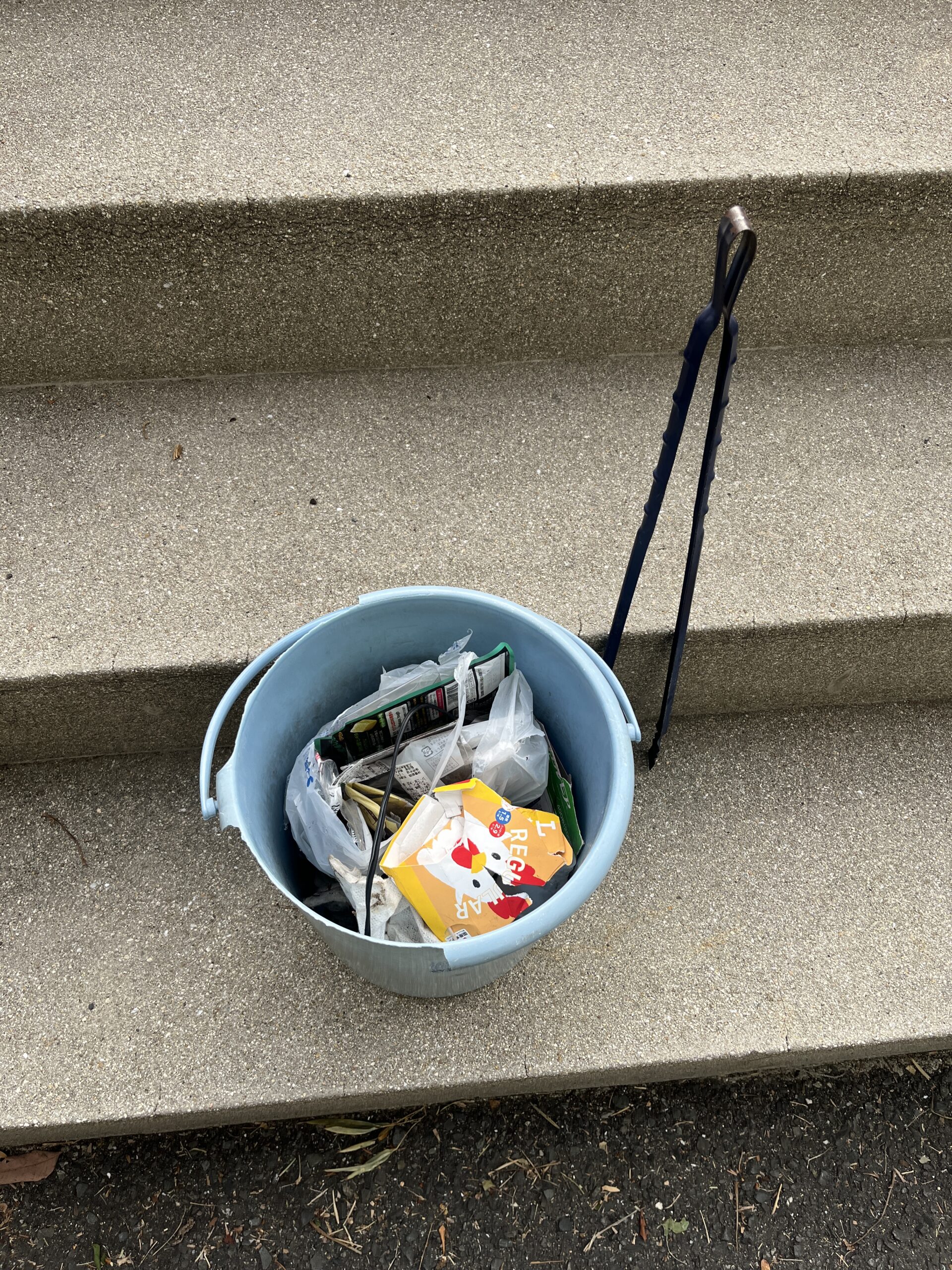 歩道ゴミ拾い中に、川辺を見て思ったこと #135