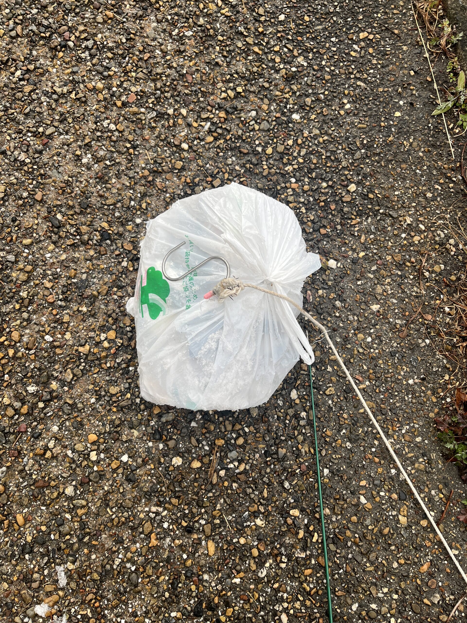 雪の川辺で見つけた「気になるゴミ袋」― どうしても放っておけなかった理由 #146