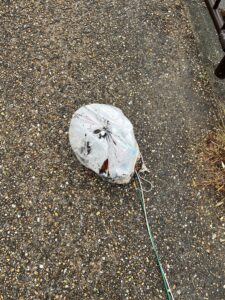 【雨上がりの川辺で発見】巨大ゴミ袋を釣り上げてみたら…中身に少し考えさせられた話 #149