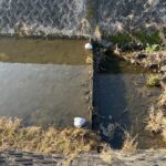 暖かい朝の運拾い…でも川を見て立ち止まった理由#150