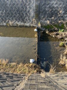 暖かい朝の運拾い…でも川を見て立ち止まった理由#150