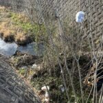 朝日はきれい。でも、景色はきれいじゃない。#154