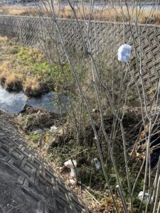 朝日はきれい。でも、景色はきれいじゃない。#154