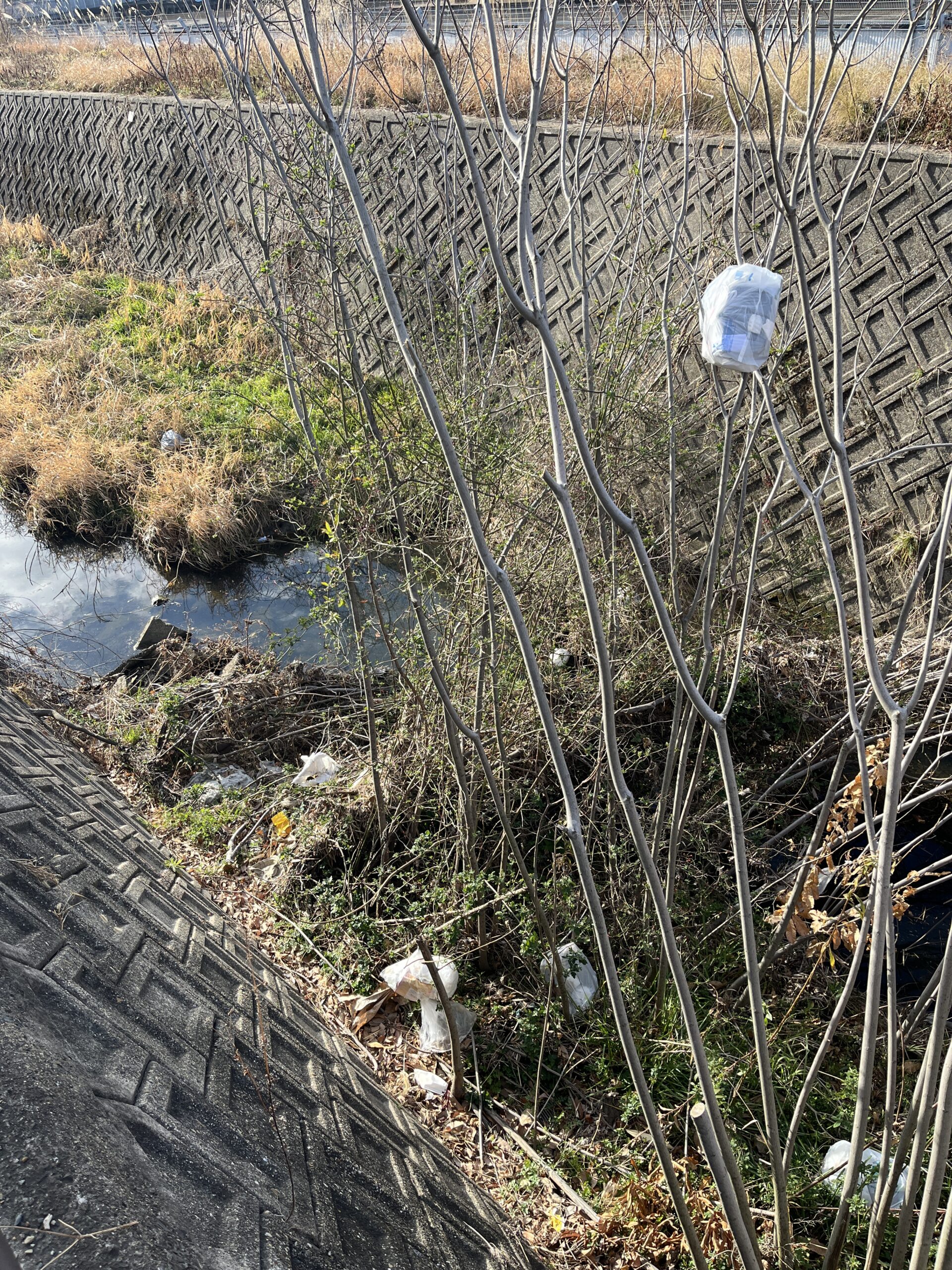 朝日はきれい。でも、景色はきれいじゃない。#154