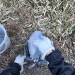 【地域清掃活動】春の陽気の中で歩道ゴミ拾い＆川のゴミ袋を開封 #157