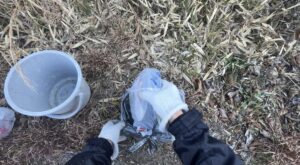 【地域清掃活動】春の陽気の中で歩道ゴミ拾い＆川のゴミ袋を開封 #157