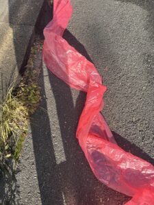 歩道ごみ拾いで出会った、珍しいごみ #143