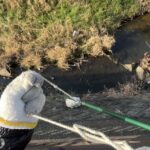 ビリッ…ちぎれた。その後の奇跡 #159