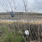 迷った日ほど、やってよかったと思える理由 #161