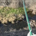 【運拾い活動】川辺のゴミ袋を釣り上げようとした結果…今回は回収できませんでした #162