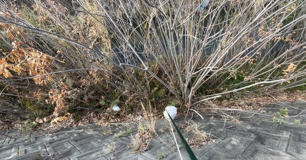 見えなかった手提げ、袋を動かしたら釣り上げ成功 #166