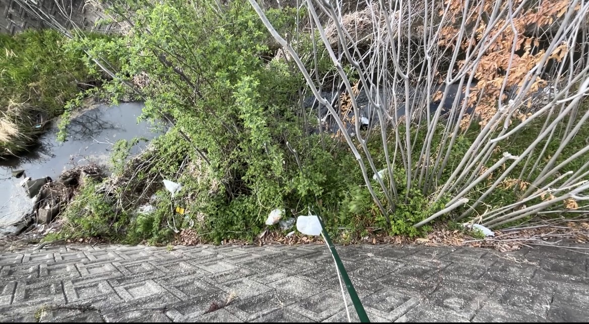 川辺のゴミ袋を釣り上げ｜木の下の難所でも回収成功【運拾い活動】#167