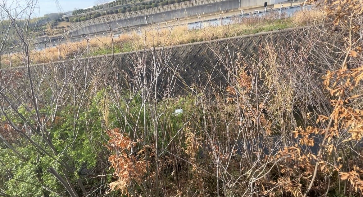 川辺のゴミ袋を釣り上げた話|木の枝と木々に阻まれた“高難易度回収”の記録 #170
