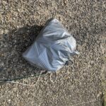 また出現…同じ場所に現れた銀色のゴミ袋を釣り上げた結果 #171