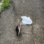 歩道に落ちていた“片方だけのスニーカー”が教えてくれたこと #179