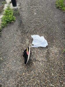 歩道に落ちていた“片方だけのスニーカー”が教えてくれたこと #179