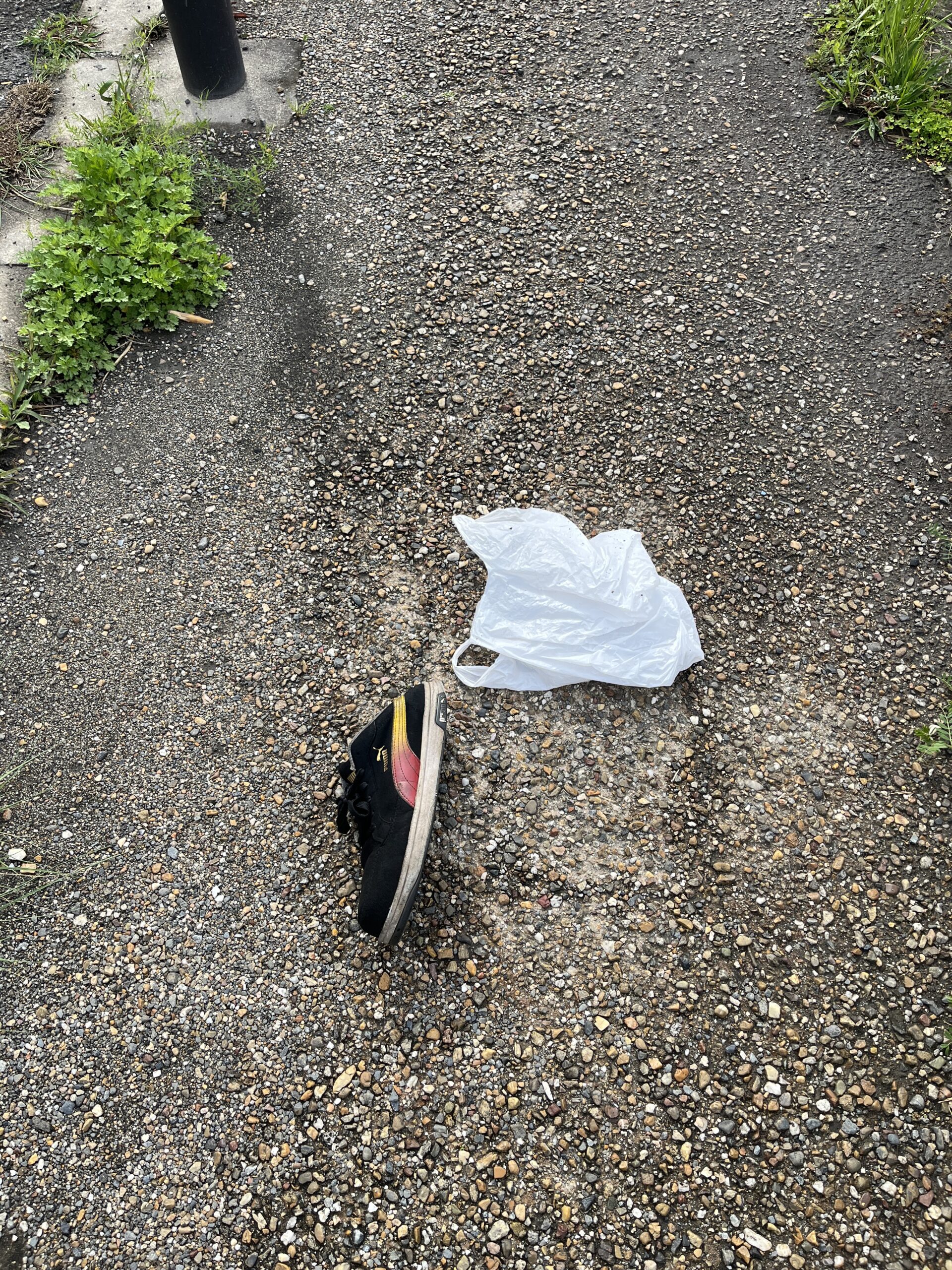 歩道に落ちていた“片方だけのスニーカー”が教えてくれたこと #179